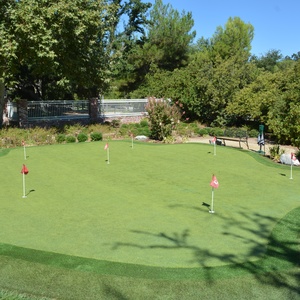 A Backyard Putting Green Built for Two